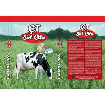 ÇT-Süt Otu